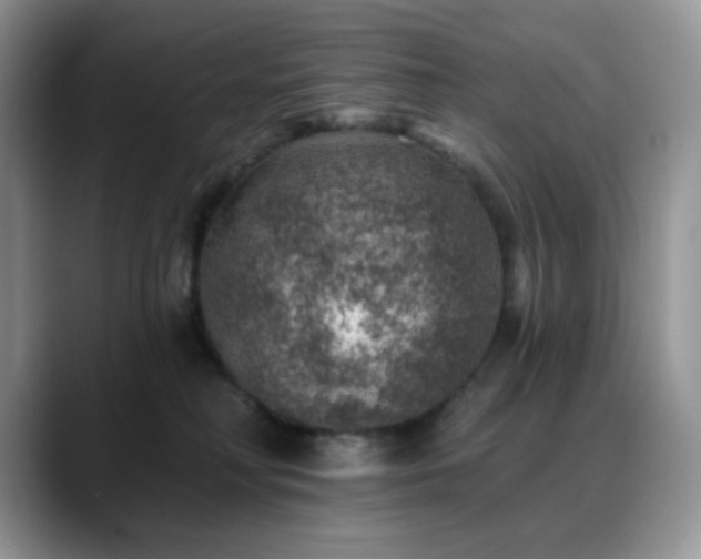 X0000088850230200706081140