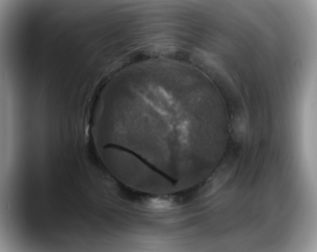 X0000088850232200706081140