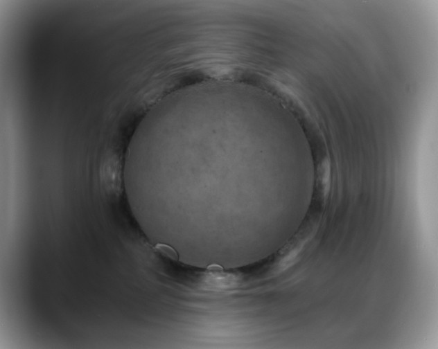 X0000088850234200706081140
