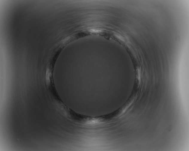 X0000088850235200706081140