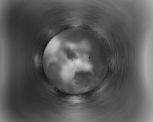 X0000088850236200706081140