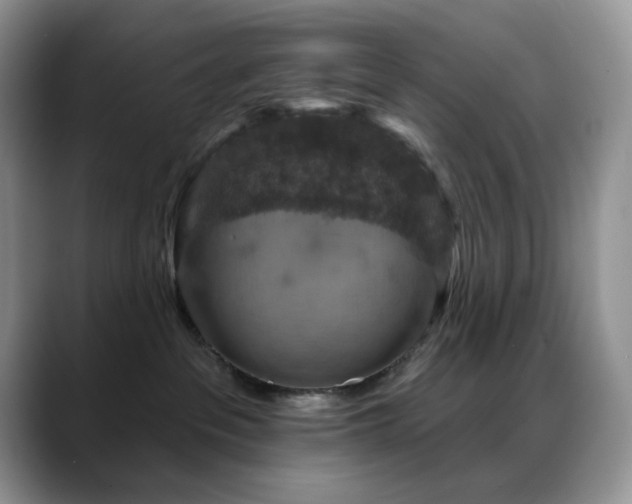 X0000088850237200706081140