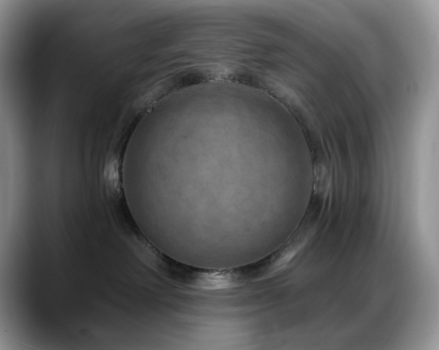 X0000088850238200706081140
