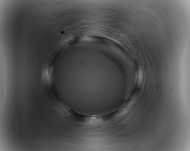 X0000088850239200706081140