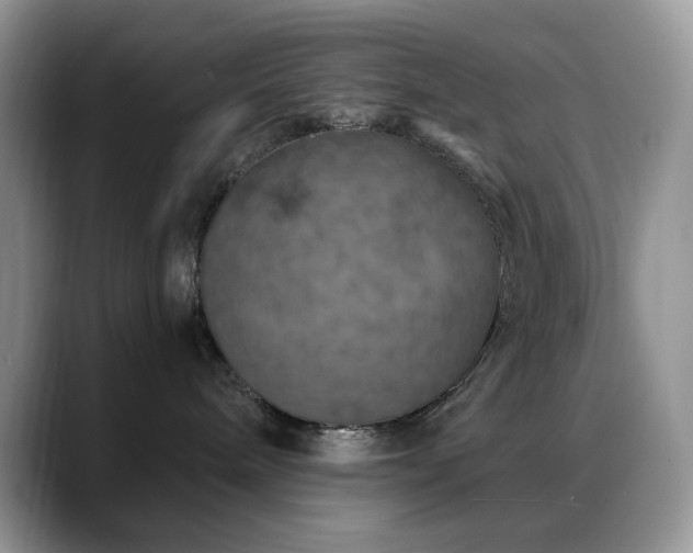 X0000088850240200706081140
