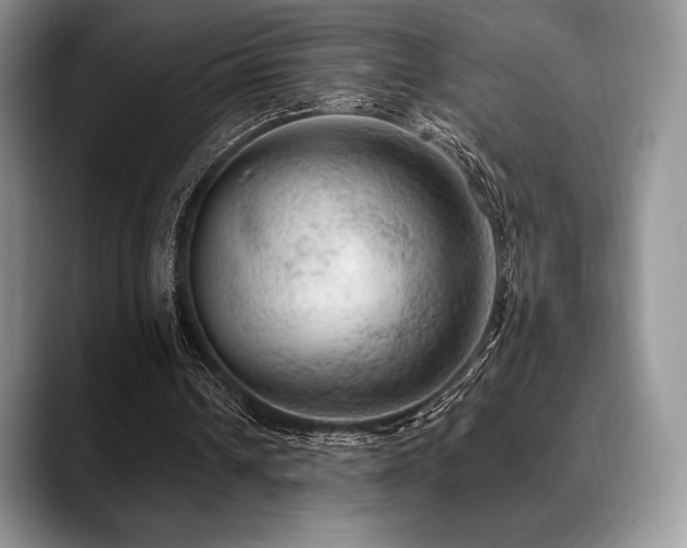 X0000088850242200706081140