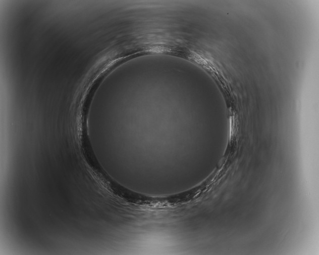 X0000088850243200706081140