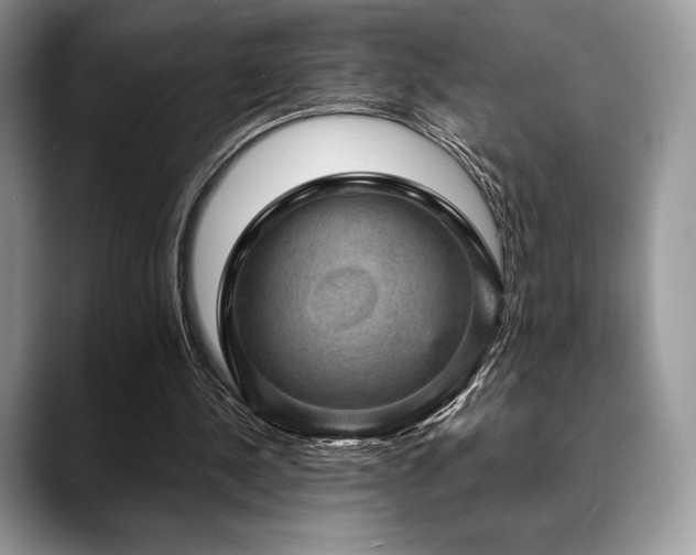 X0000088850244200706081140