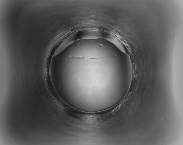 X0000088850245200706081140