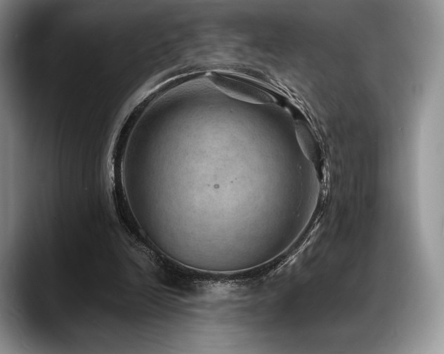 X0000088850246200706081140