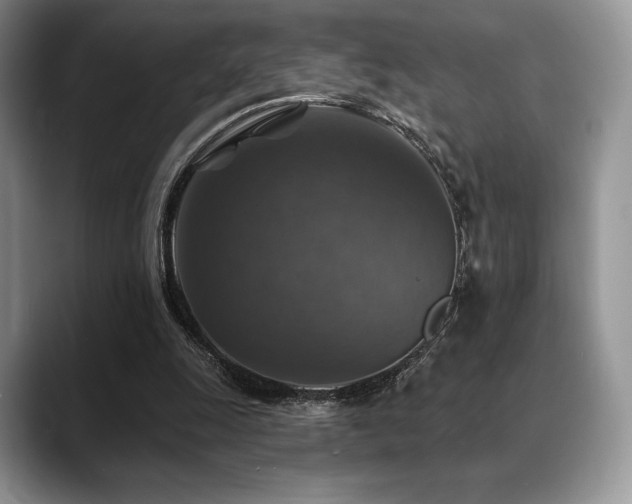 X0000088850247200706081140