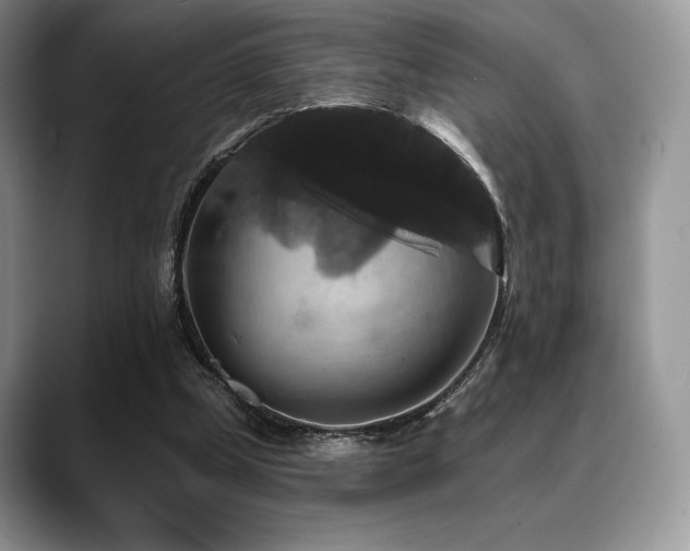 X0000088850249200706081140