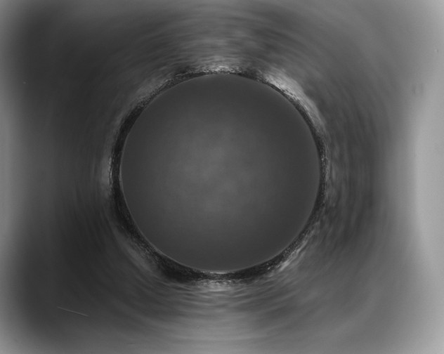X0000088850250200706081140
