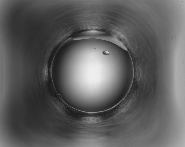 X0000088850251200706081140