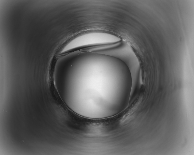 X0000088850252200706081140