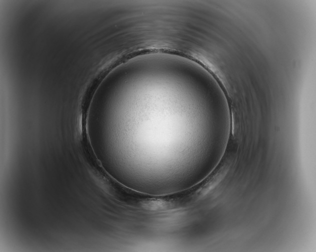 X0000088850253200706081140