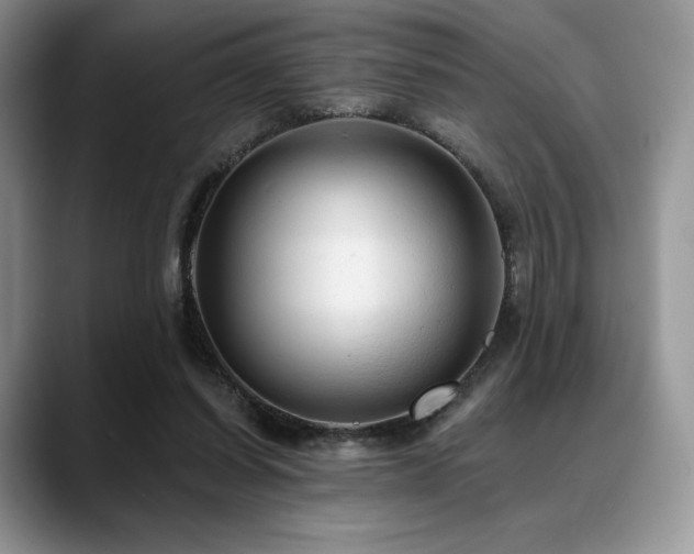 X0000088850254200706081140