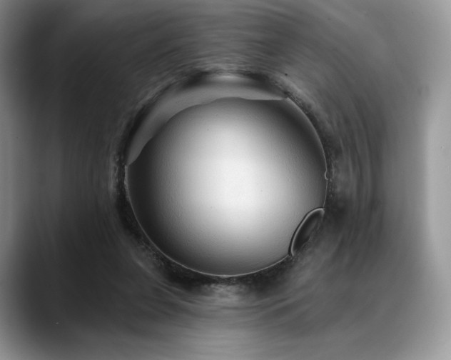 X0000088850255200706081140