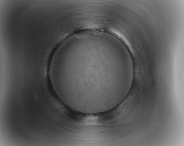 X0000088850257200706081140