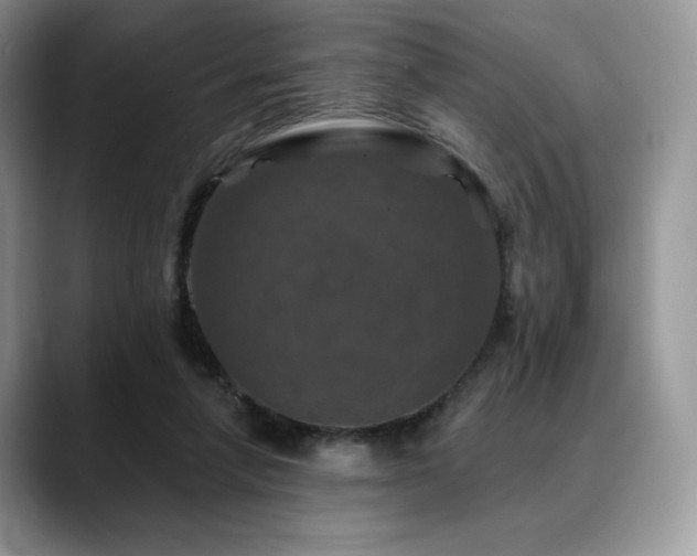 X0000088850258200706081140