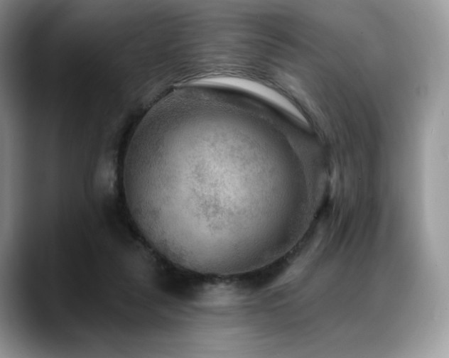 X0000088850259200706081140