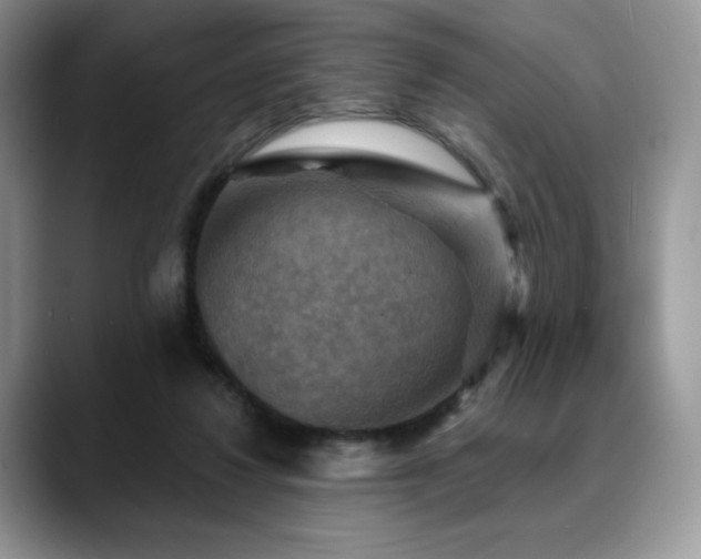 X0000088850260200706081140
