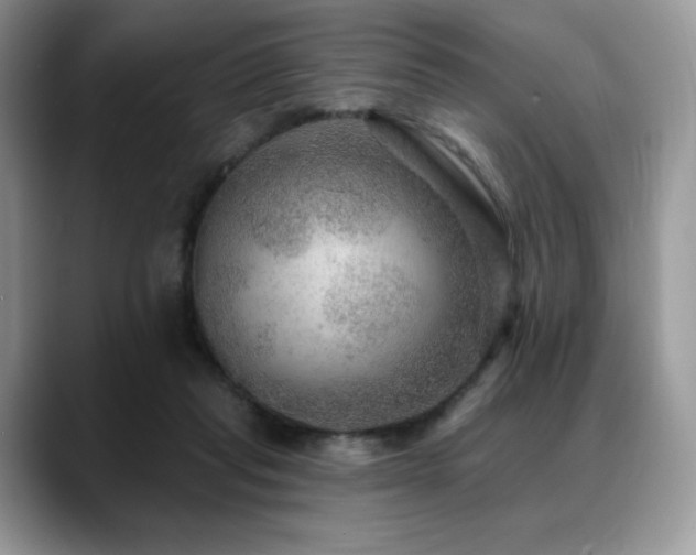 X0000088850261200706081140