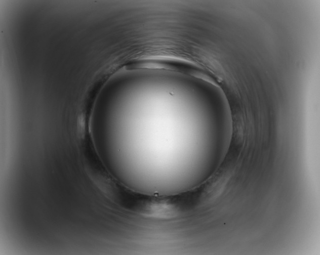 X0000088850262200706081140