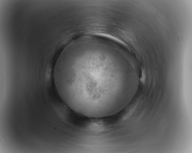 X0000088850263200706081140