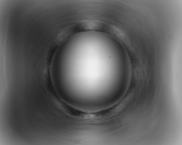 X0000088850265200706081140