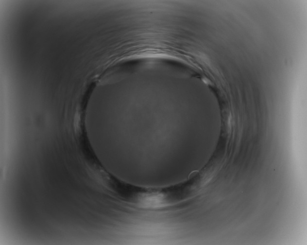 X0000088850266200706081140