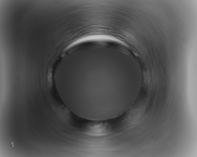 X0000088850267200706081140