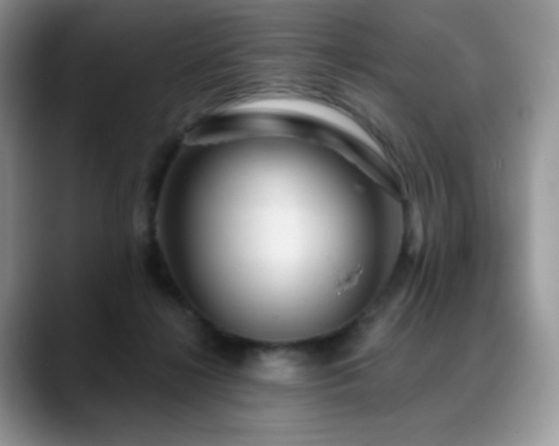 X0000088850268200706081140