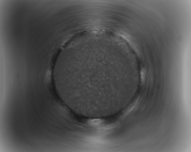 X0000088850269200706081140