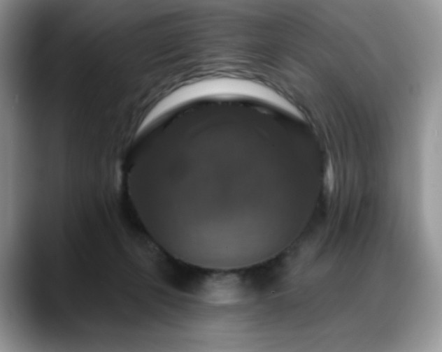 X0000088850271200706081140
