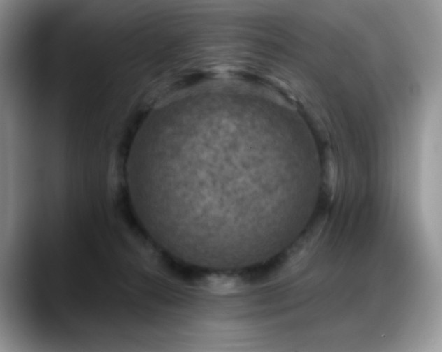 X0000088850272200706081140