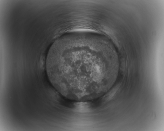 X0000088850273200706081140