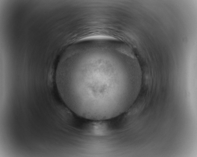 X0000088850275200706081140