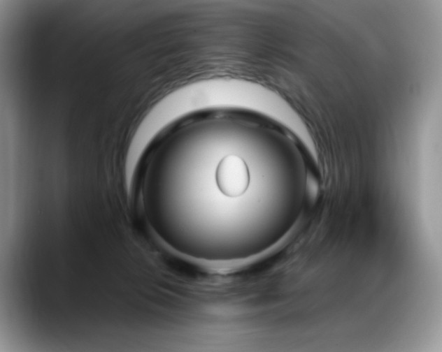 X0000088850276200706081140