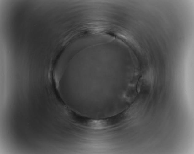 X0000088850277200706081140