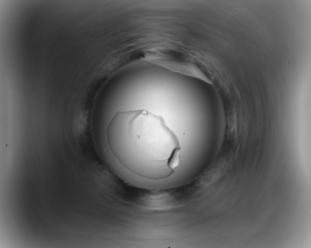 X0000088850278200706081140