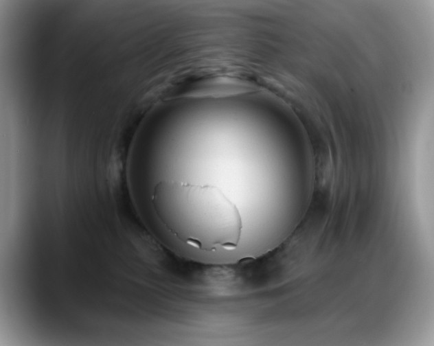 X0000088850279200706081140