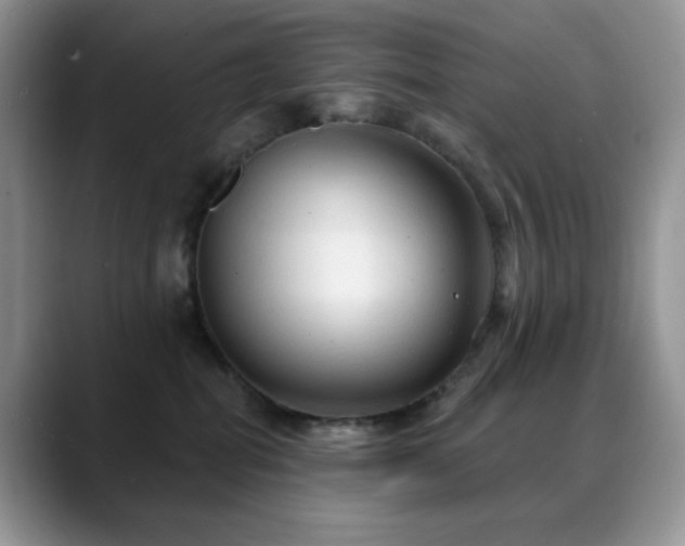 X0000088850282200706081140