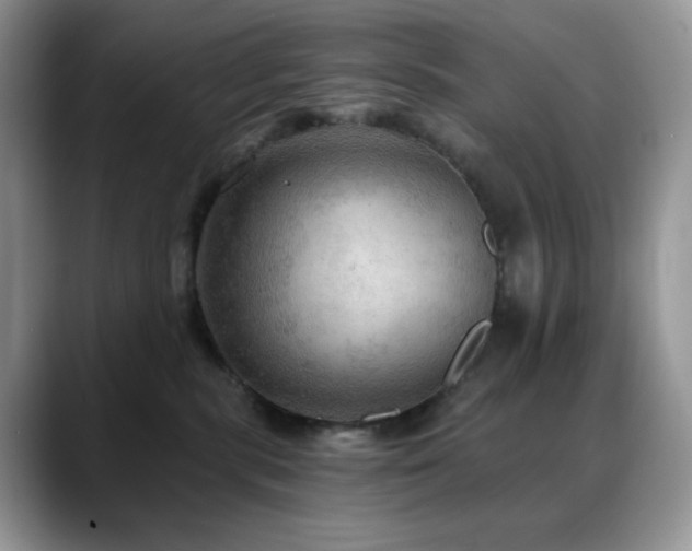 X0000088850283200706081140