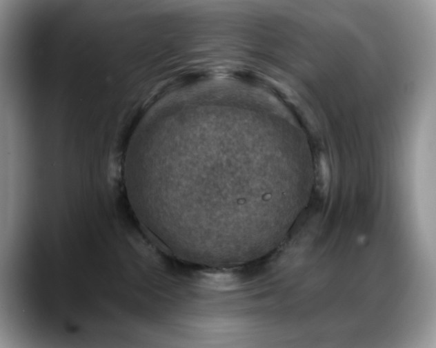 X0000088850284200706081140