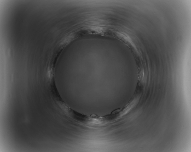 X0000088850285200706081140