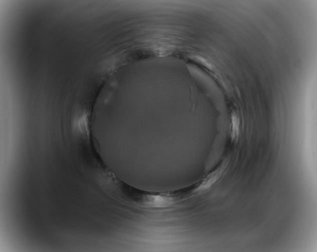 X0000088850286200706081140