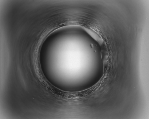 X0000088850289200706081140
