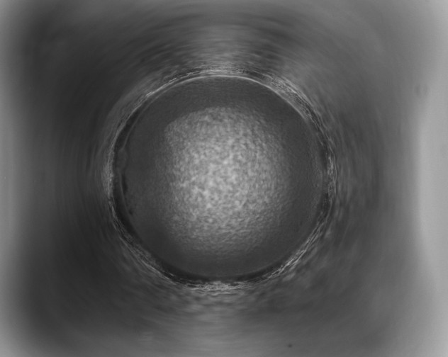 X0000088850290200706081140
