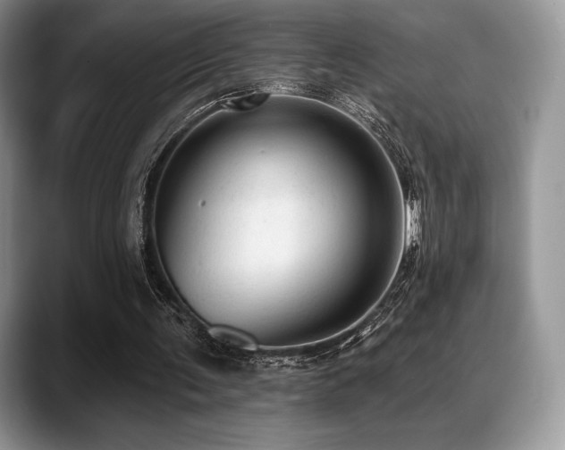 X0000088850291200706081140